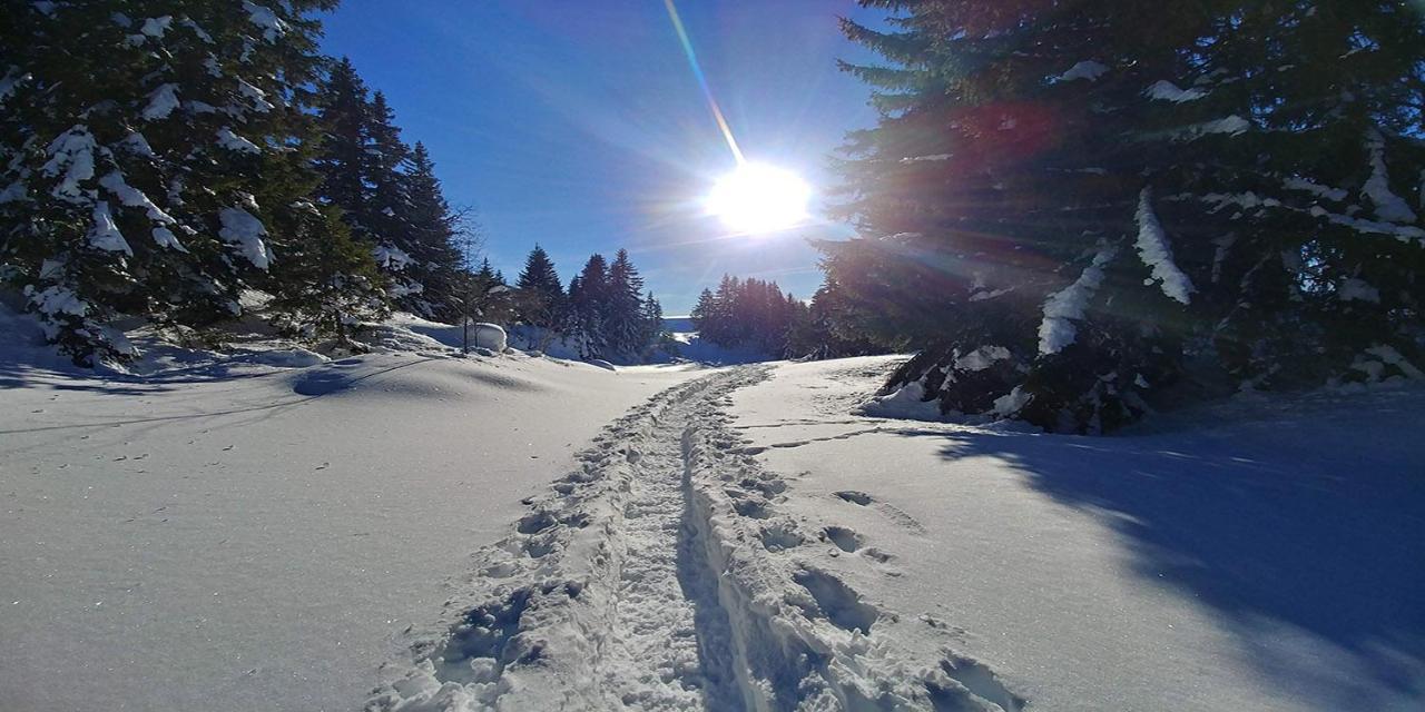Gite Les Lanfiannes Thorens-Glières Esterno foto