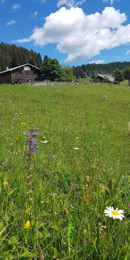 Gite Les Lanfiannes Thorens-Glières Esterno foto