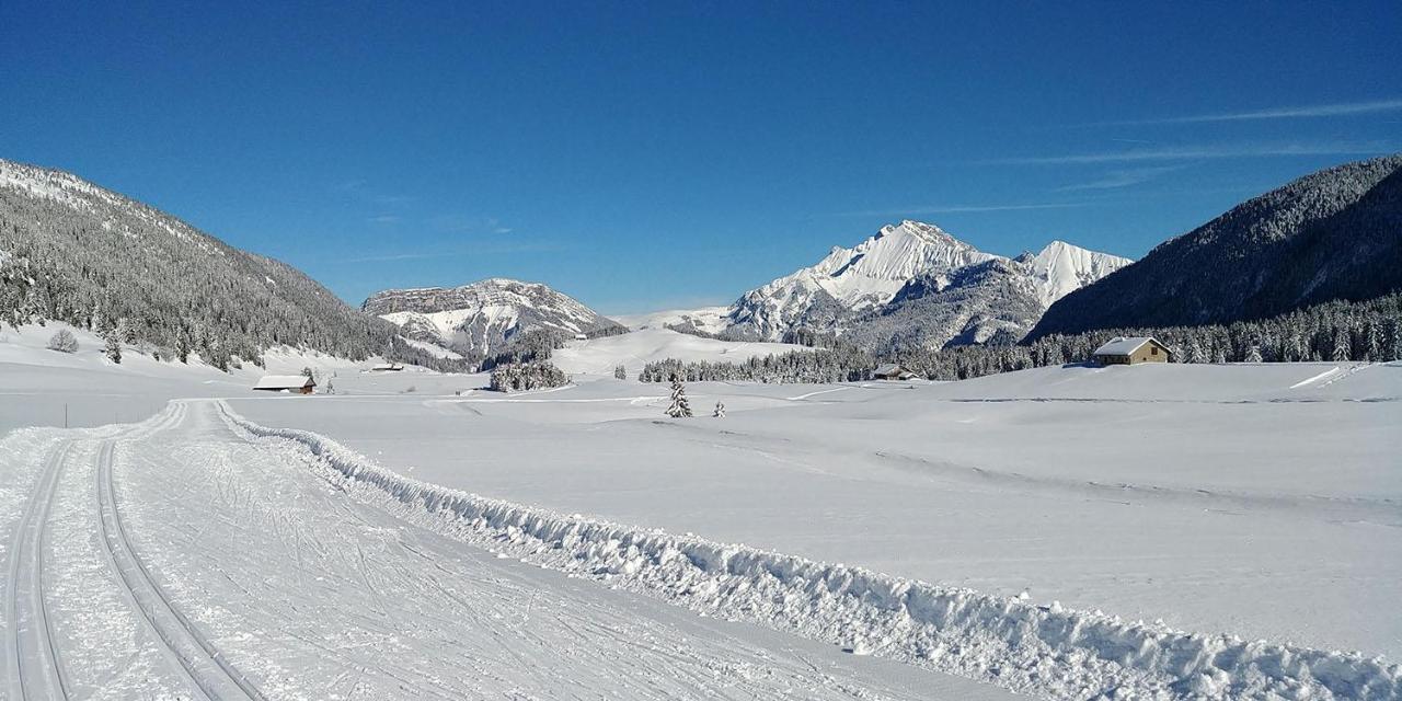 Gite Les Lanfiannes Thorens-Glières Esterno foto