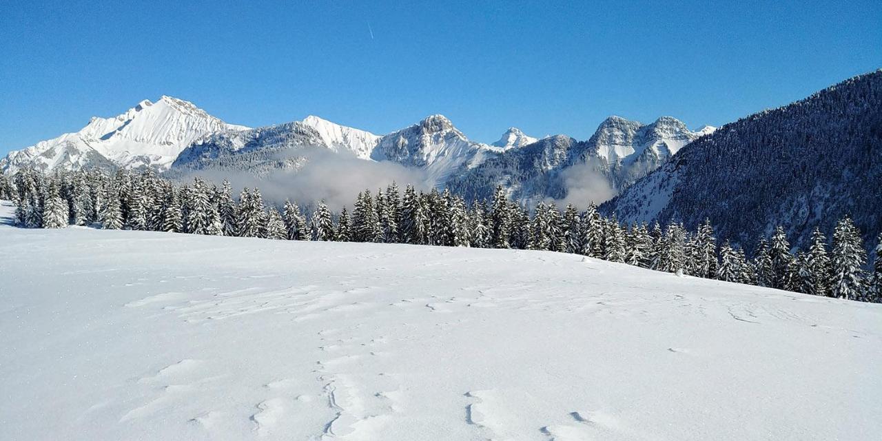Gite Les Lanfiannes Thorens-Glières Esterno foto