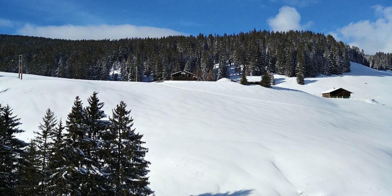 Gite Les Lanfiannes Thorens-Glières Esterno foto