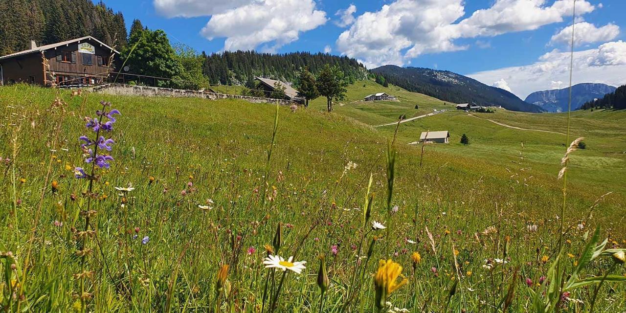 Gite Les Lanfiannes Thorens-Glières Esterno foto