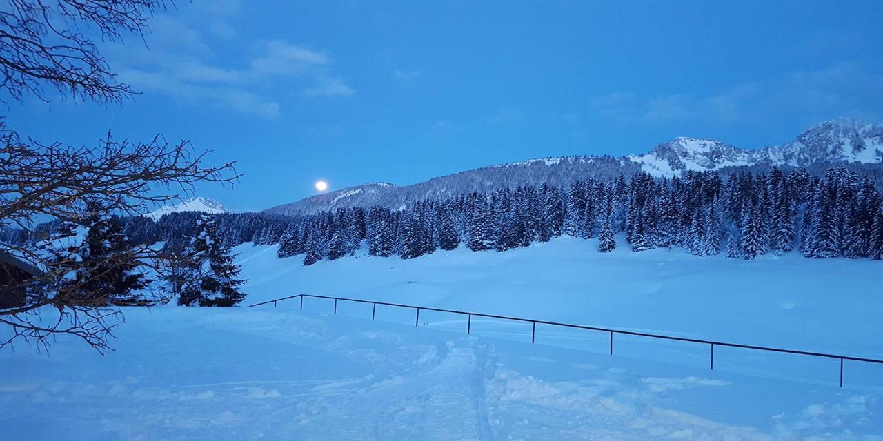 Gite Les Lanfiannes Thorens-Glières Esterno foto