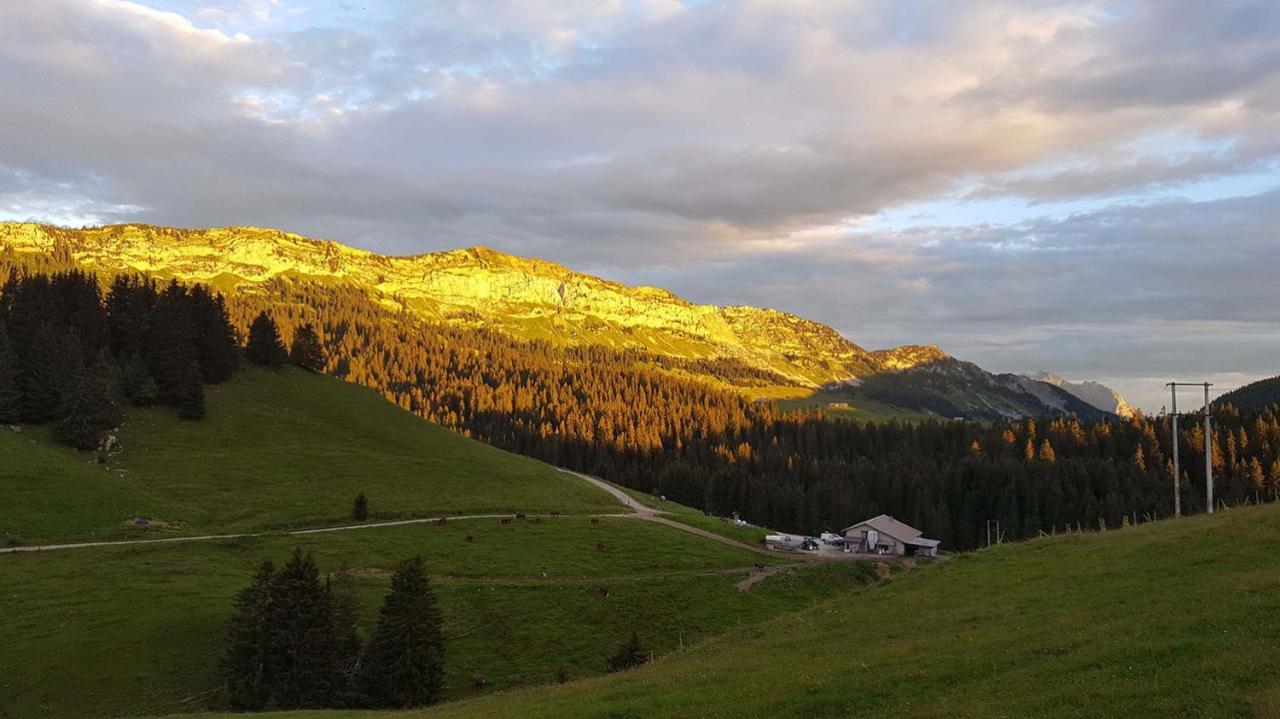 Gite Les Lanfiannes Thorens-Glières Esterno foto