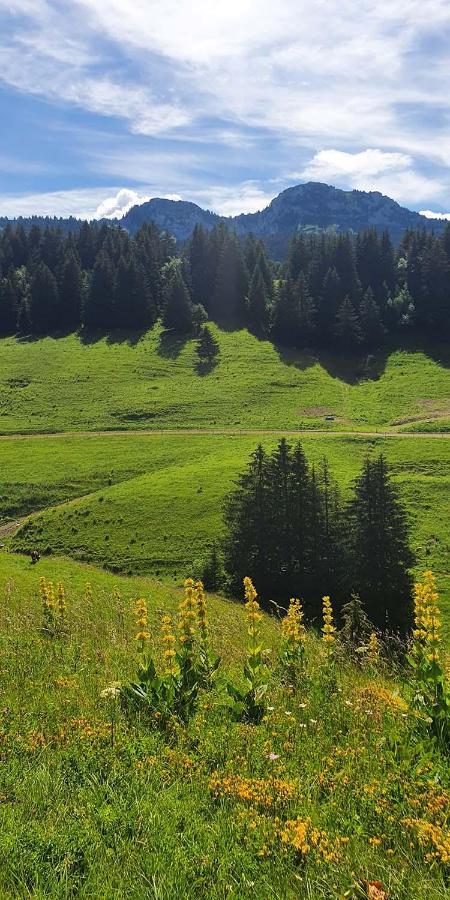 Gite Les Lanfiannes Thorens-Glières Esterno foto